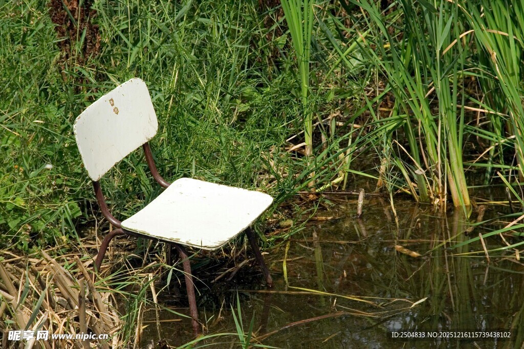水中孤椅 静立绿植之畔