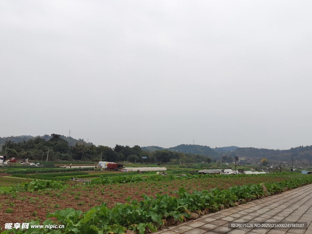 乡村田野风光宁静美好