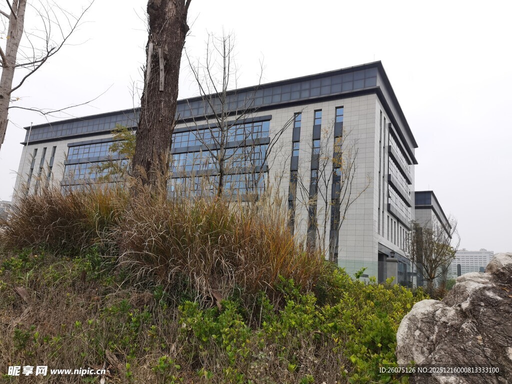 现代建筑旁的绿植景观