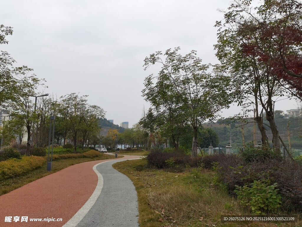 公园彩色步道风景