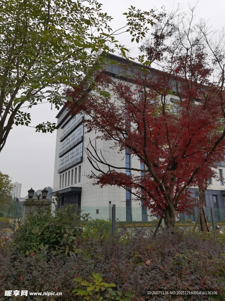 红树旁的现代建筑景观