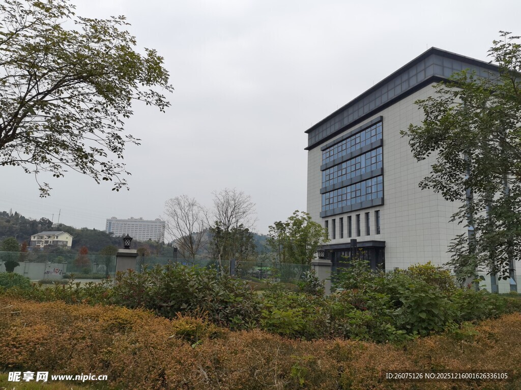 现代建筑旁的绿植景观