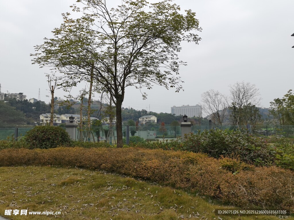 乡村田野风景图