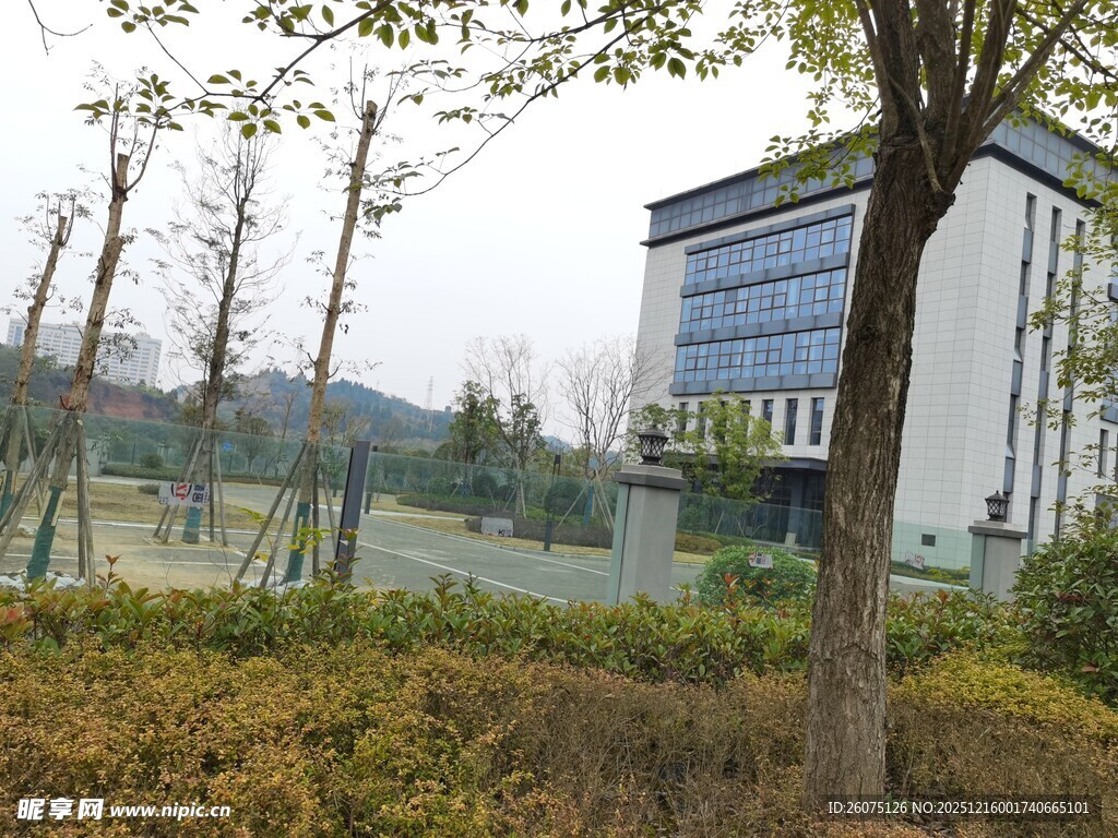 现代建筑旁的绿植景观