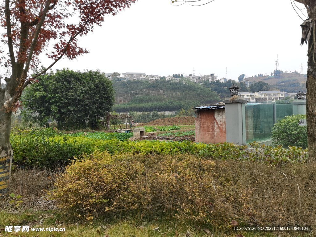 户外田园景观一角