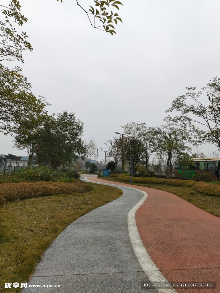 蜿蜒彩道穿行于绿地间