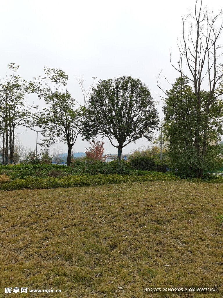 田野风光树木点缀其间