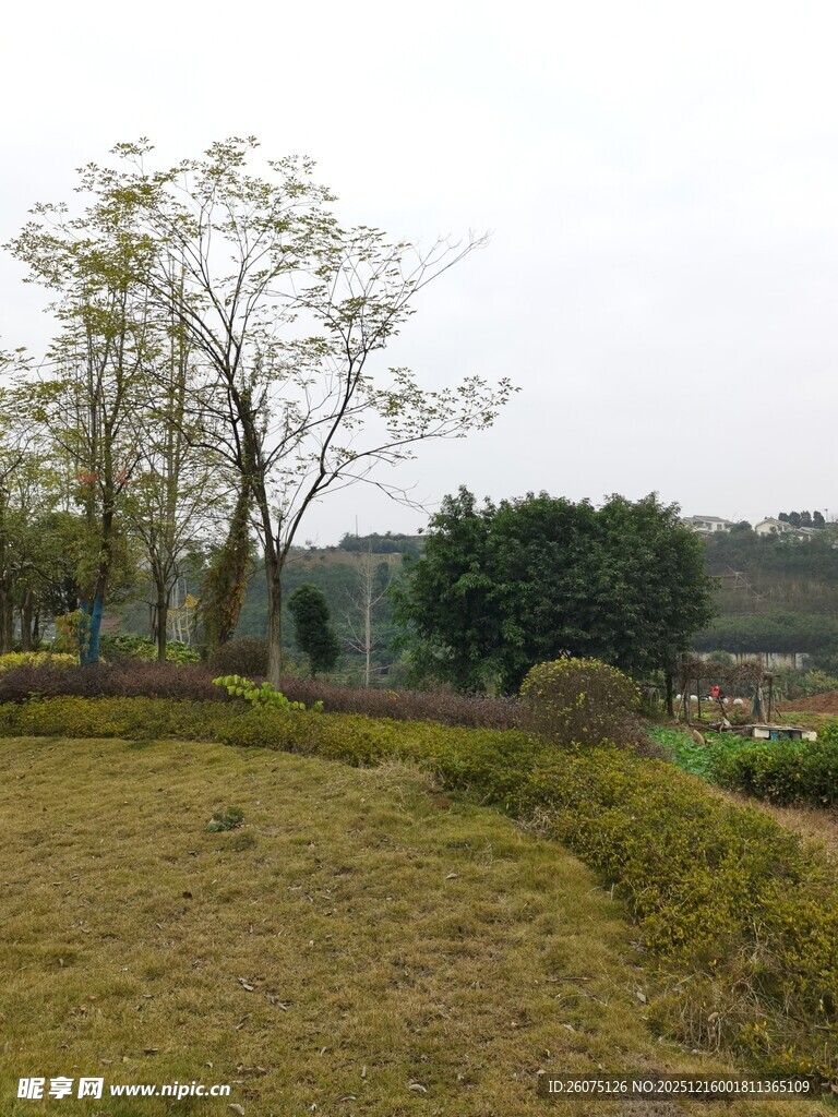 乡村田野风光景色