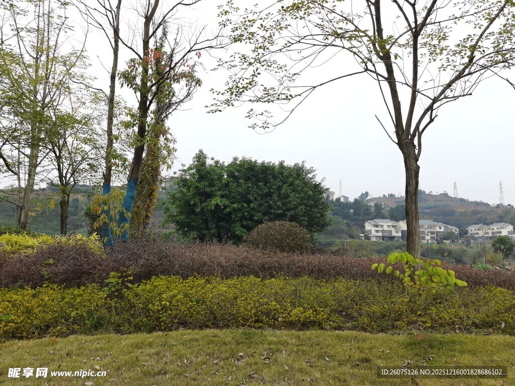 户外绿意盎然的自然景观