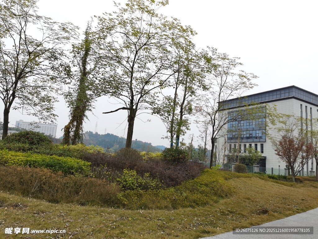 郊外路旁的现代建筑景观