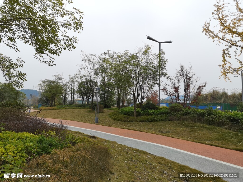 公园蜿蜒小路与绿植景观