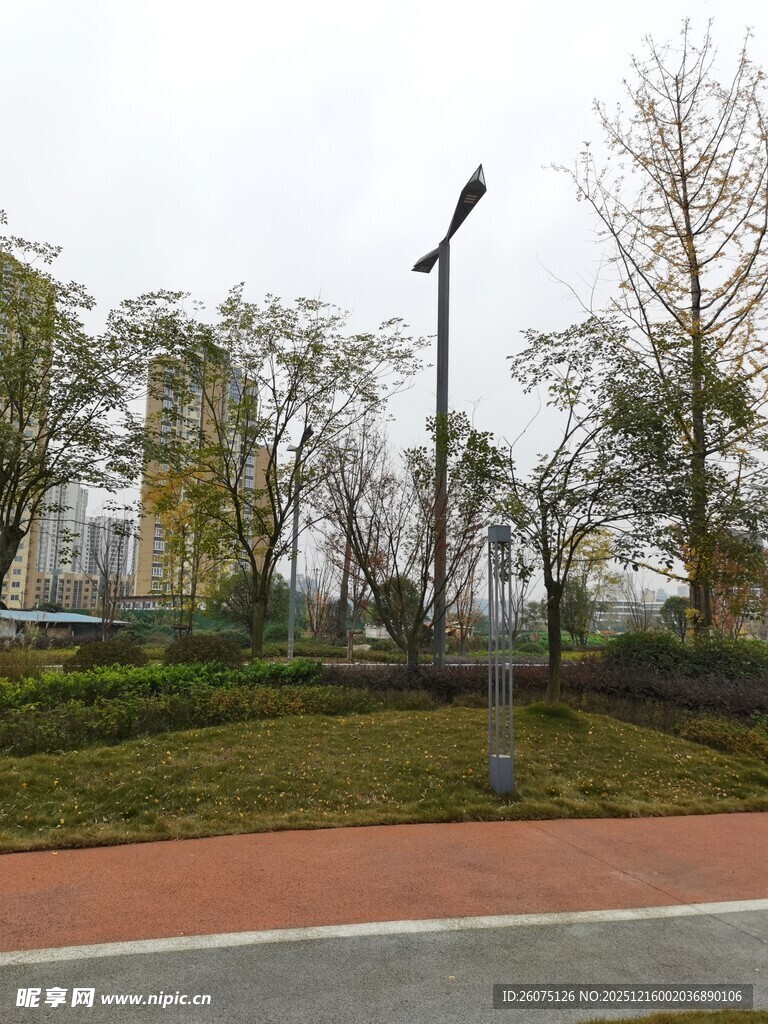 城市公园中的步道与绿植