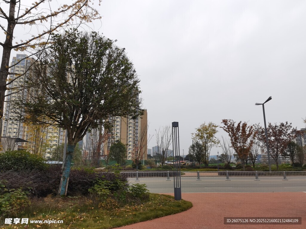 城市街边绿化景观