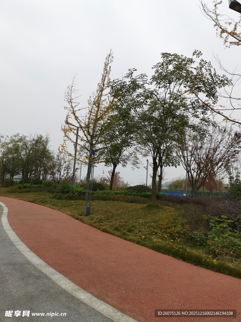 城市中的蜿蜒彩色健身步道