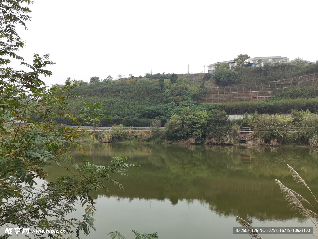 宁静湖畔自然风光