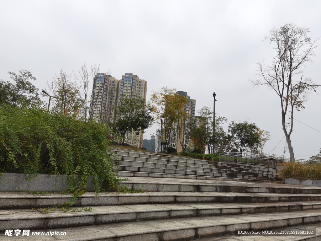 户外荒废阶梯与植物景观