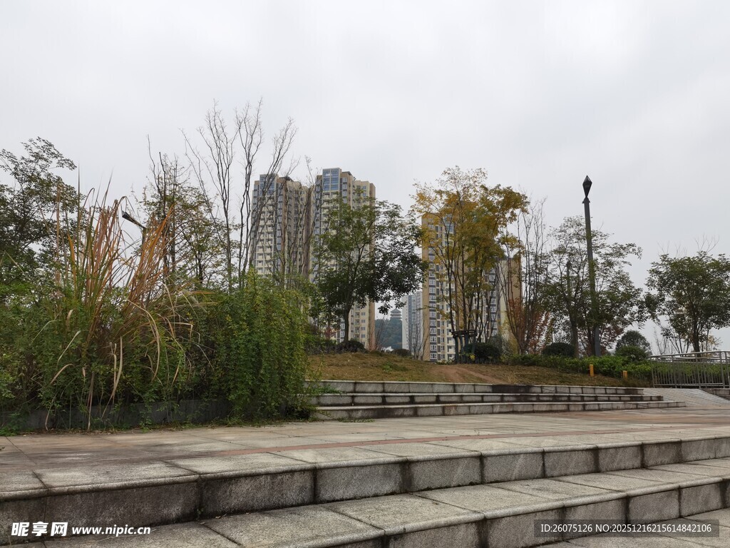 城市公园景观台阶与绿植