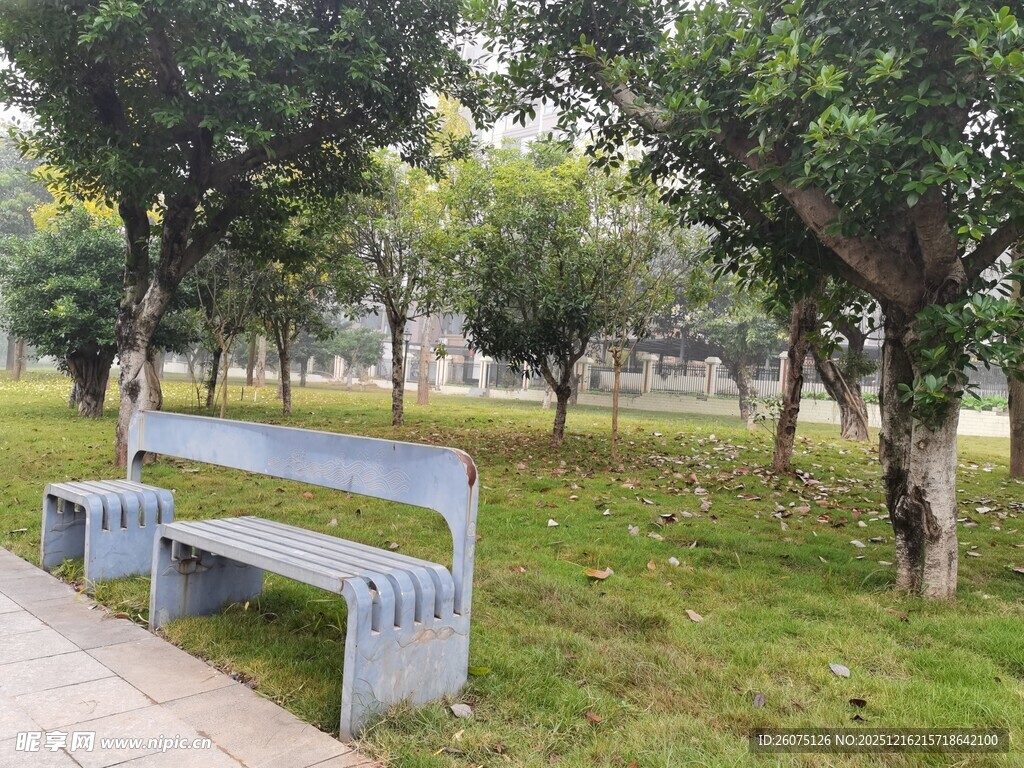 公园长椅旁的绿树草地
