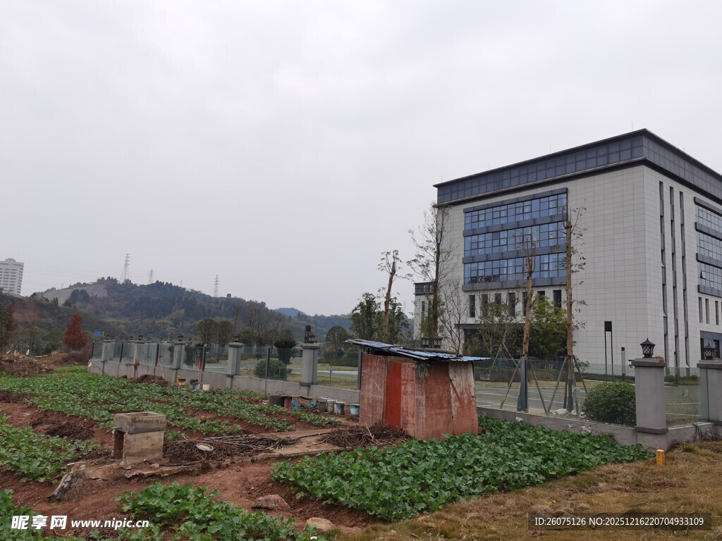 城郊建筑旁的小菜地