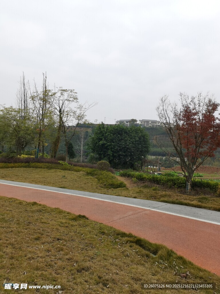 户外彩色步道风景