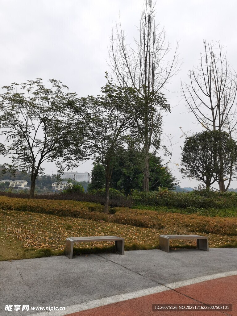 户外休闲长椅与自然风光