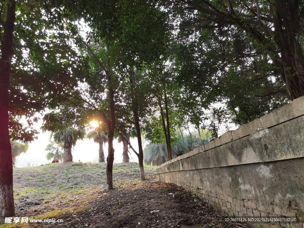 夕阳下的林间小道