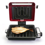 红色烤架上的烤鱼