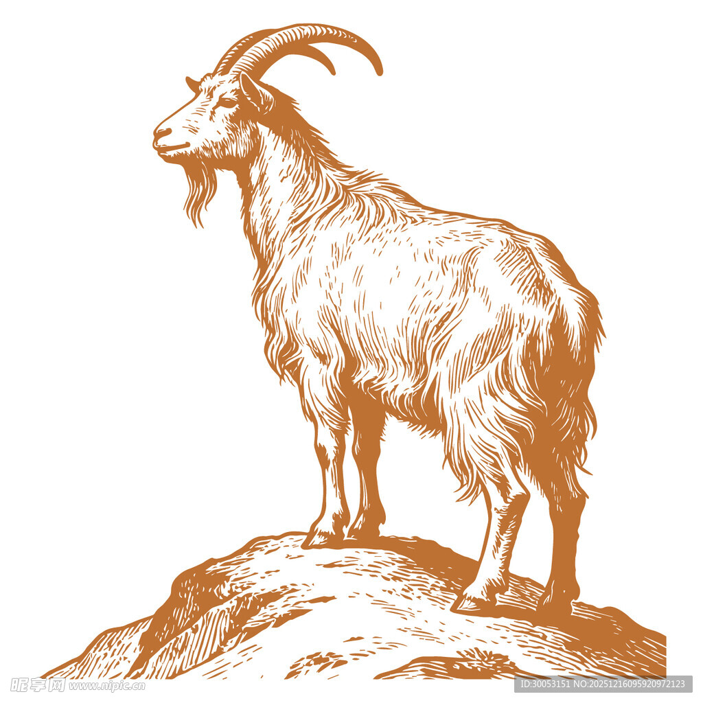 站立于岩石上的山羊