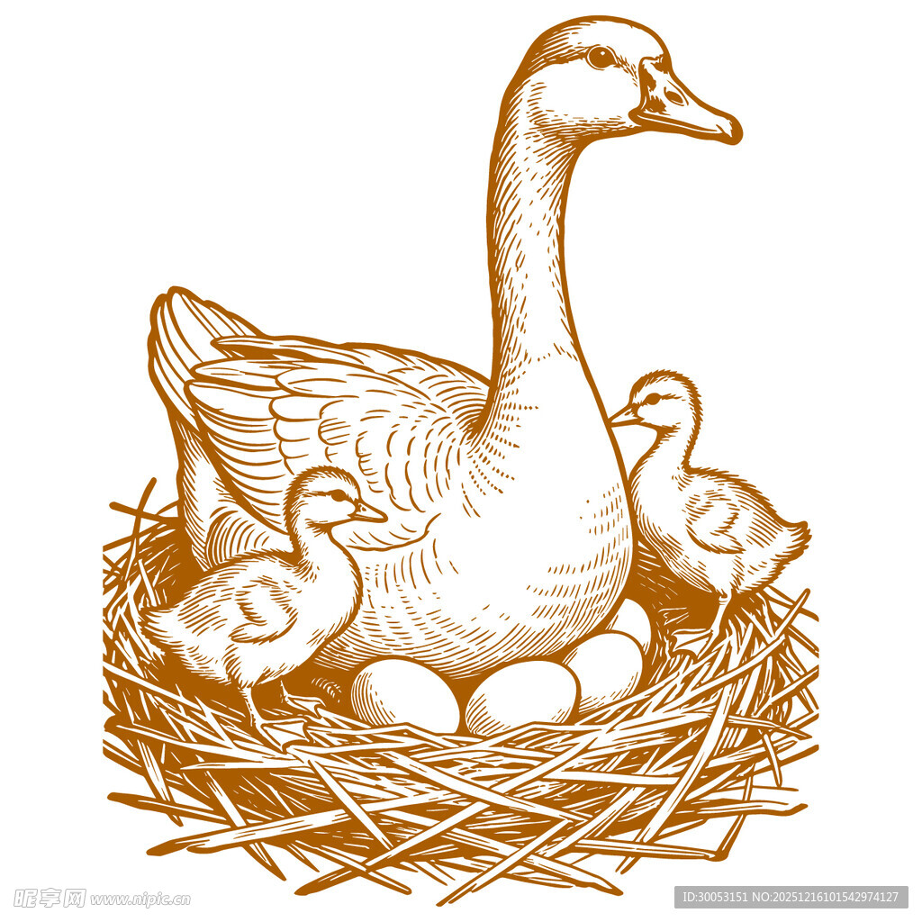 母鹅与幼雏及鹅蛋画面