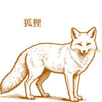 手绘站立狐狸形象