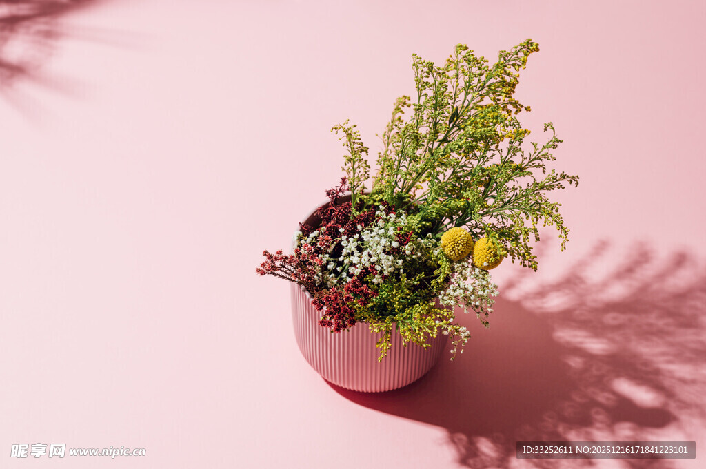 粉色背景中的多彩盆栽