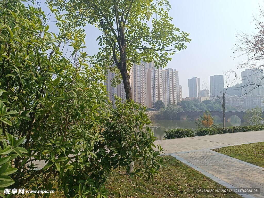 城市中的静谧绿植景观