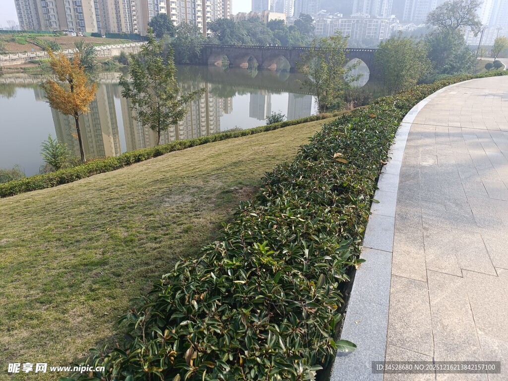 城市河畔绿化带景观