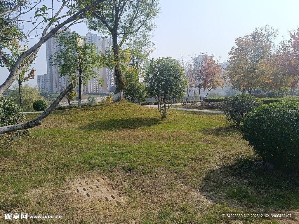 城市中的静谧绿化景观