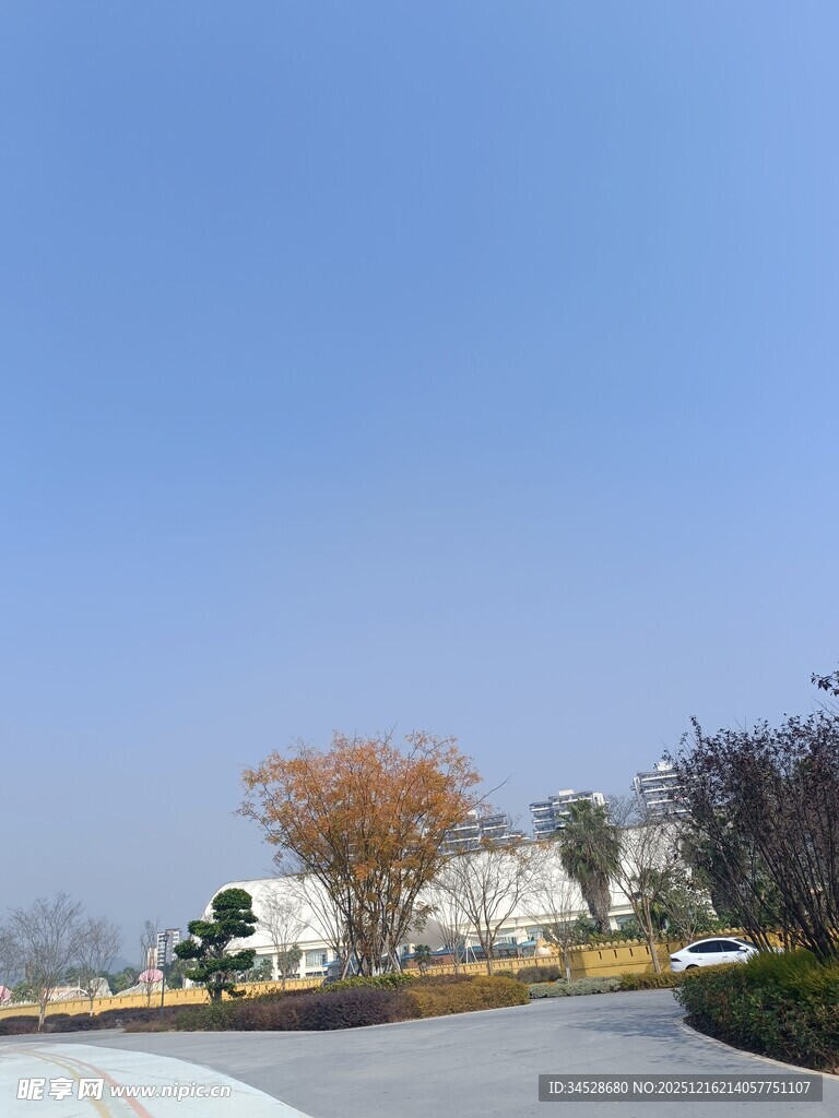 秋日户外道路旁景致