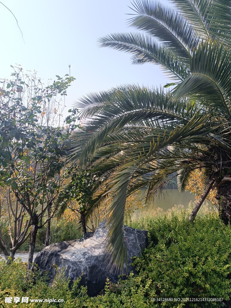 户外恐龙雕塑与绿植景观