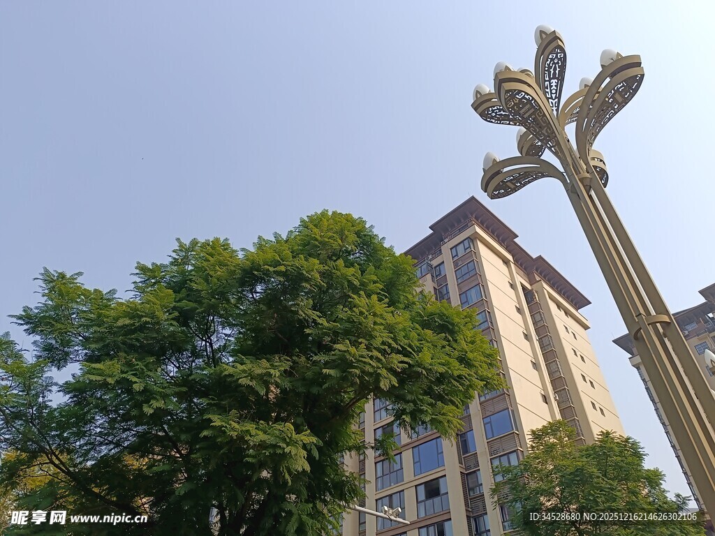 城市路灯与绿树高楼景观