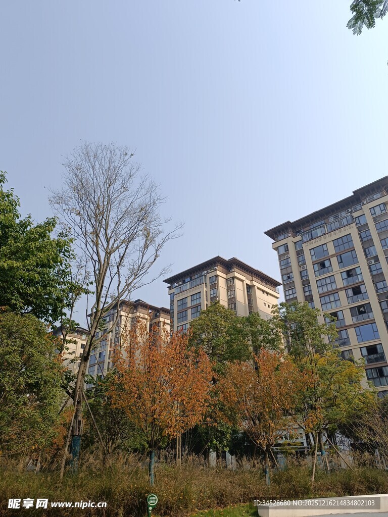 秋日小区周边景致