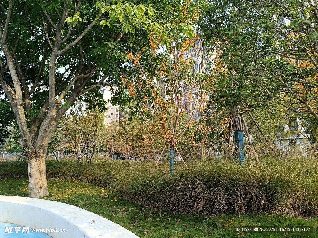 公园绿意盎然的自然景致