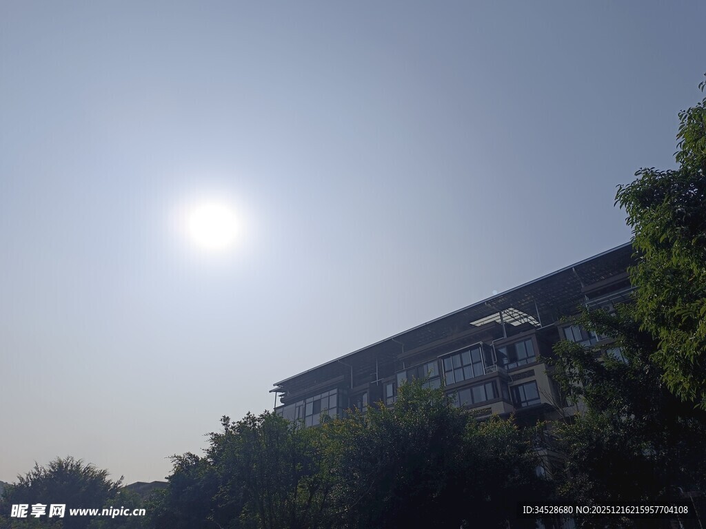 阳光下的建筑物与绿植