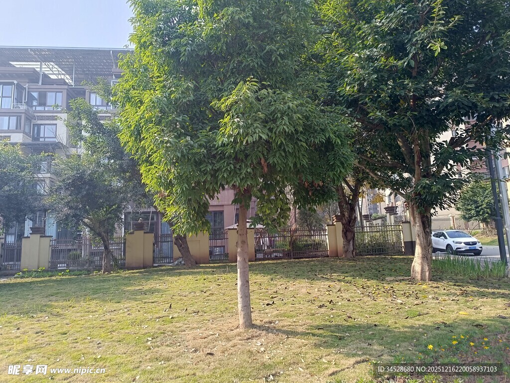 户外绿树草地休闲场景