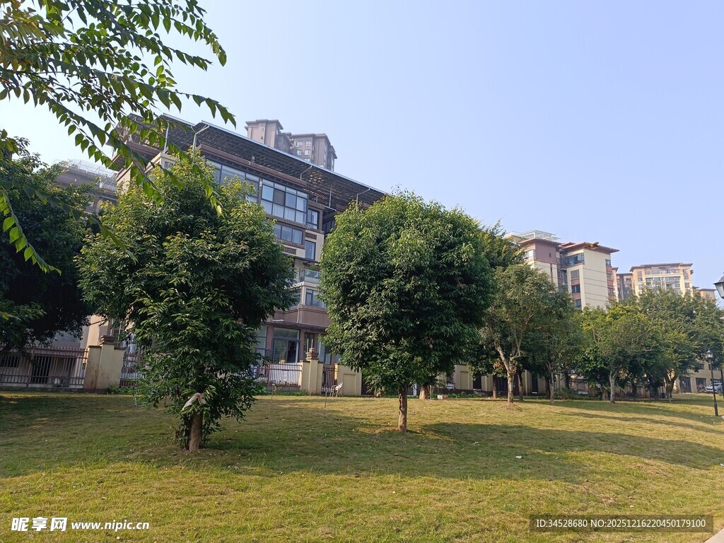 校园绿地旁的建筑景观