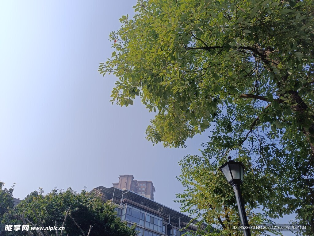 绿树掩映下的建筑一角