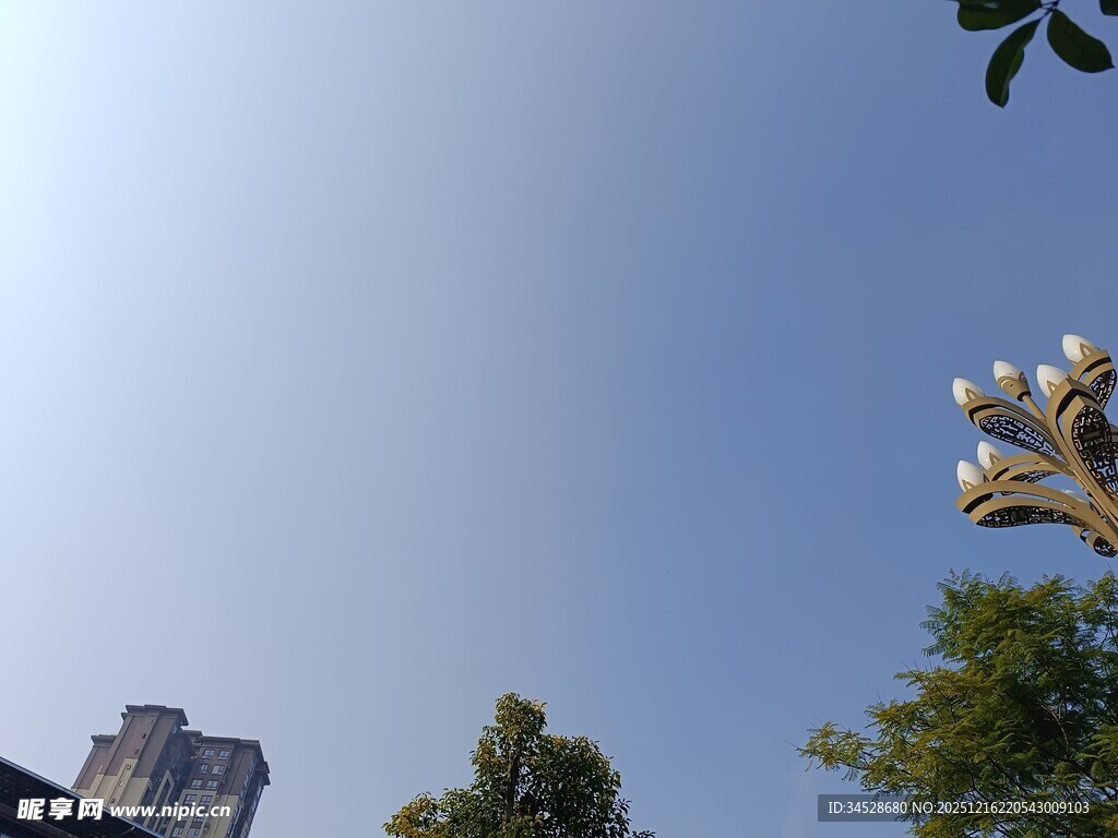 蓝天绿树间的城市景致