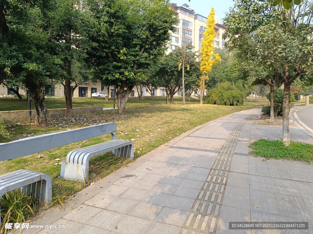 公园林荫下的休闲长椅