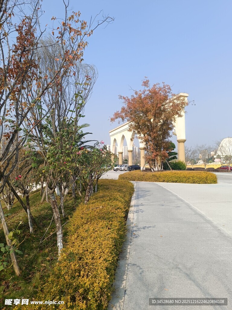 校园道路旁的绿植与建筑