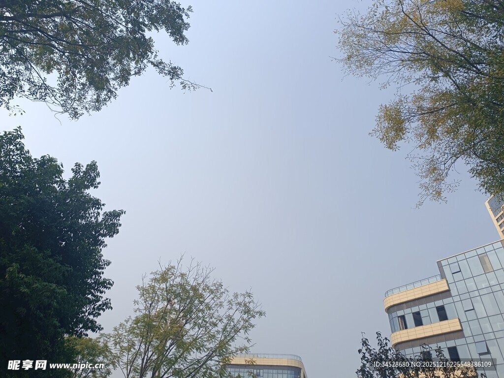 户外树木与建筑物景观