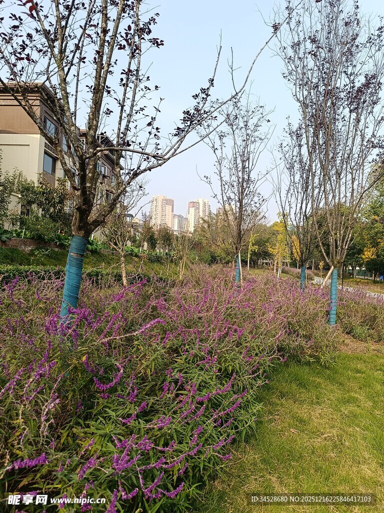 春日繁花绿地景观