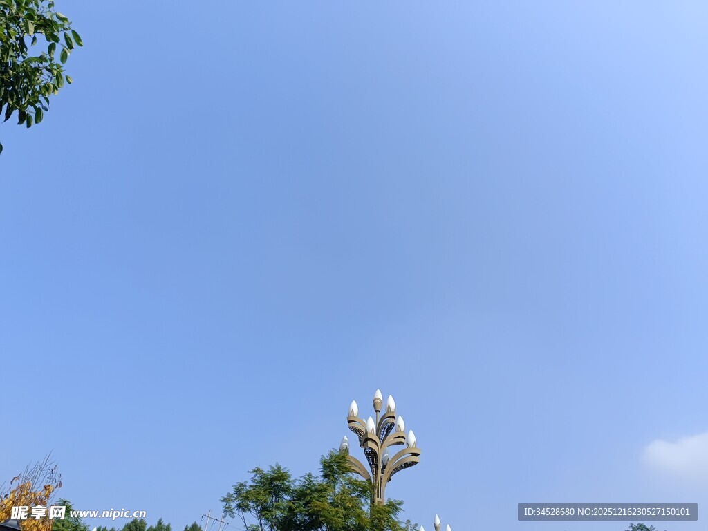 蓝天绿树间的白云