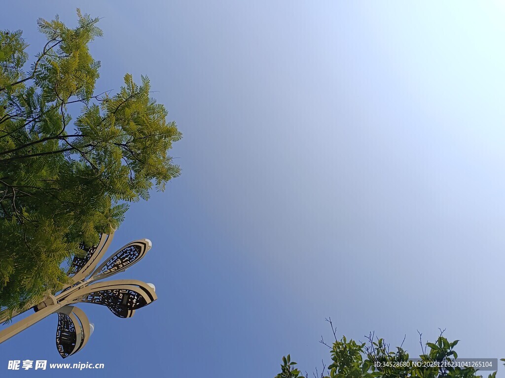 枝头飞鸟与蓝天绿树